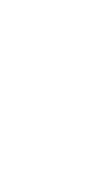 Raposa Azul Cabuloso