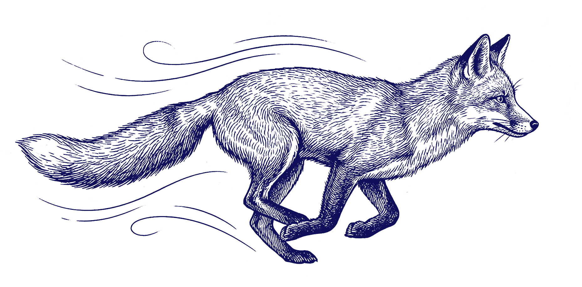 Raposa Nossa História